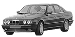 BMW E34 DF650 Fault Code